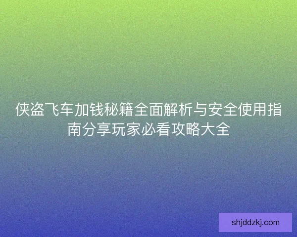 侠盗飞车加钱秘籍全面解析与安全使用指南分享玩家必看攻略大全