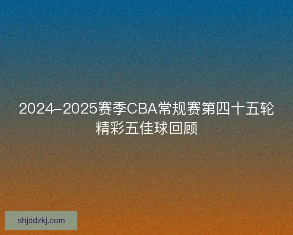 2024-2025赛季CBA常规赛第四十五轮精彩五佳球回顾