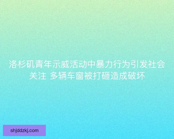 洛杉矶青年示威活动中暴力行为引发社会关注 多辆车窗被打砸造成破坏 洛杉矶青年示威活动中暴力行为引发社会关注 多辆车窗被打砸造成破坏