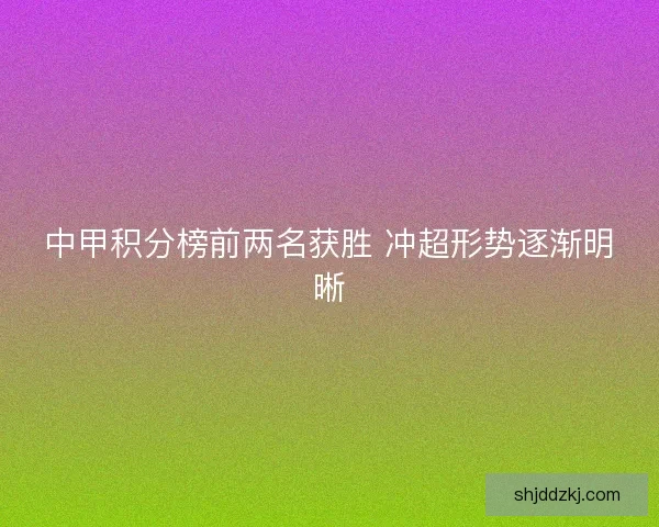 中甲积分榜前两名获胜 冲超形势逐渐明晰