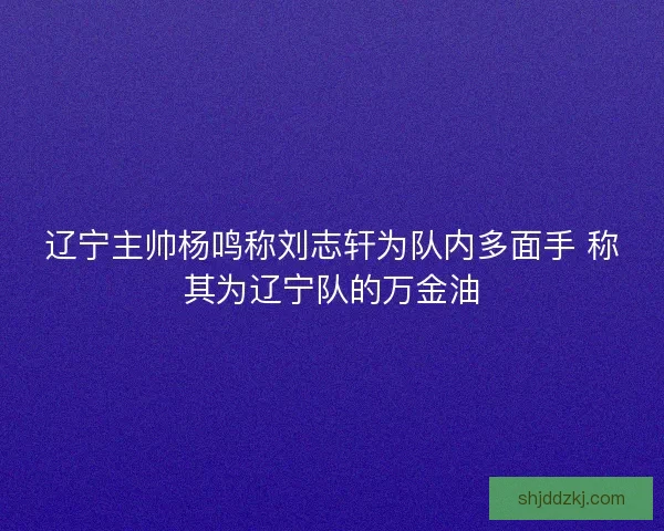 辽宁主帅杨鸣称刘志轩为队内多面手 称其为辽宁队的万金油
